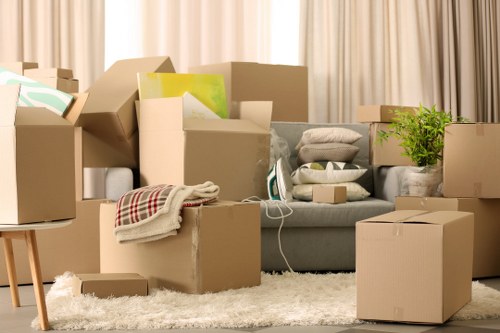 Local moving transport with boxes and household items