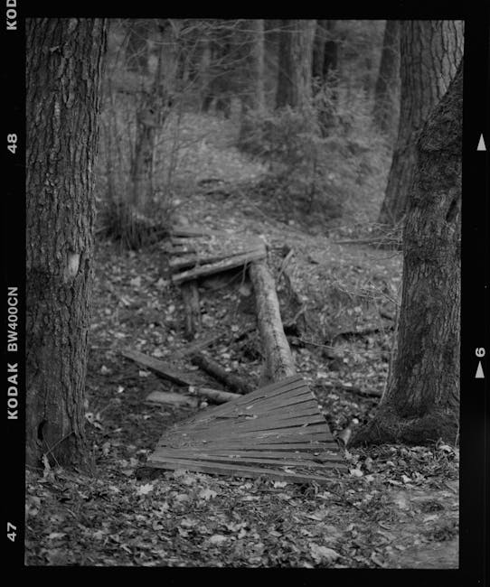 A staged photograph of a highway showing three large trucks transporting furniture and packing materials, possibly during a home relocation or moving process. The trucks are moving along a multi-lane road with a blue directional sign indicating routes A38(E) and A38(W) as well as B6019. The leading truck is a large blue Polyfoam 100F lorry with branding on the side, followed by two more trucks, all in motion. The road is bordered by greenery and trees, with a blue sky overhead. On the left side, there is a warning traffic sign indicating caution for vehicles. The scene captures a typical logistics operation involving furniture transport for house moves, potentially managed by a professional removal service such as Man with Van Northwood, which specialises in house removals and moving services.